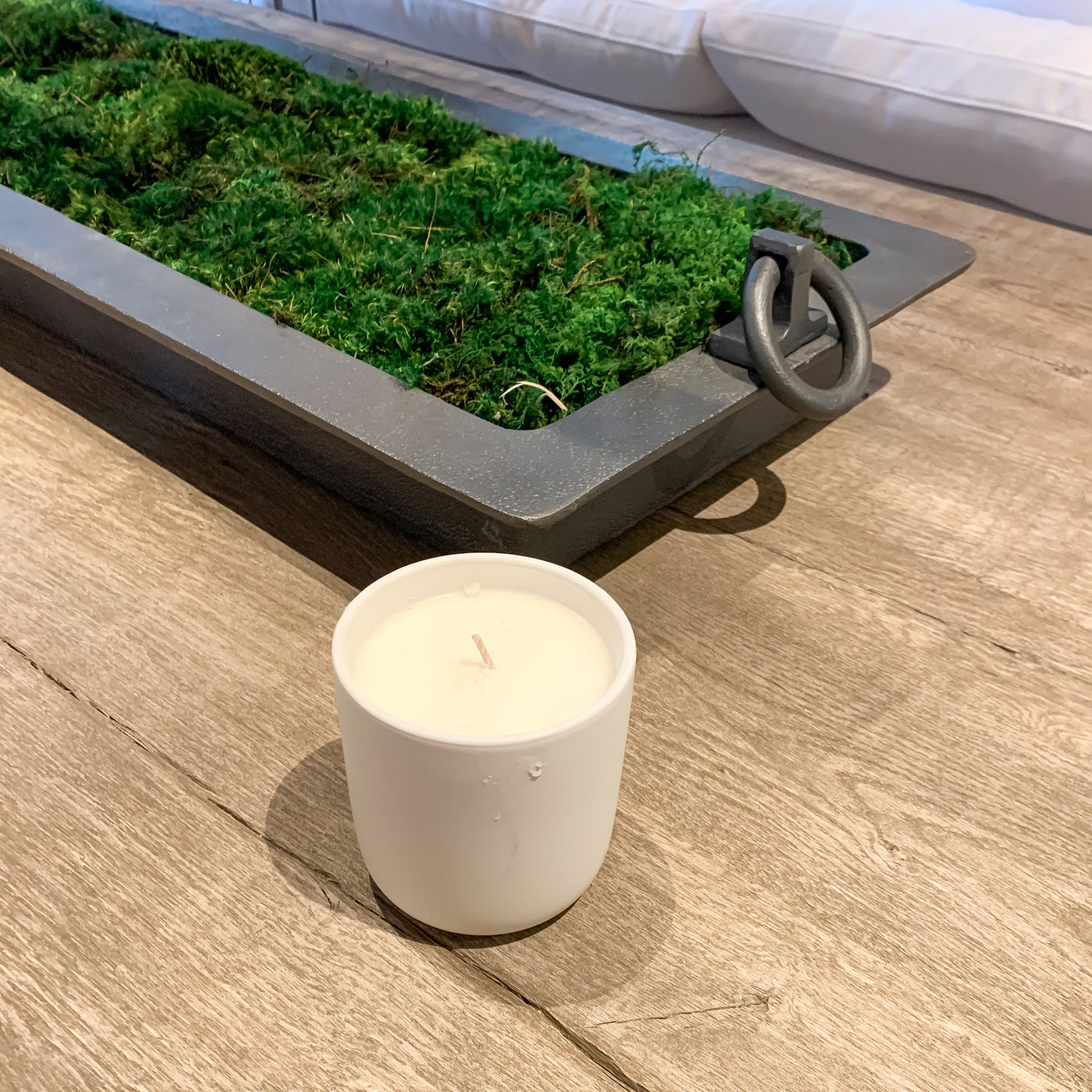 Citrus Green Tea Soy Candle - Studio Pillows